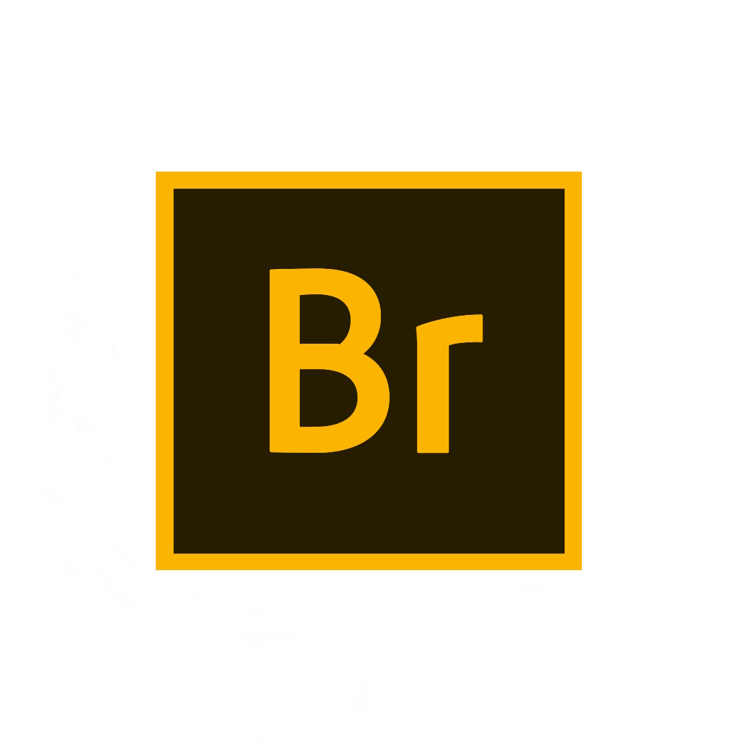 Licencia Adobe Bridge por 1 año